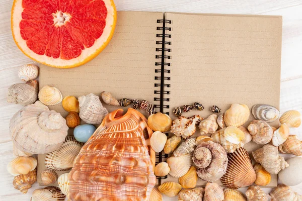 Seashells on blank notepad. Summer concept