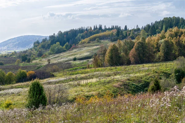 Der malerische Abhang des Berges. Herbstbäume und Rasen mit vielen Schattierungen. — Stockfoto