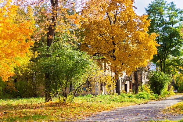 Autumn trees on the background of an old house, Sunny day — Stock Photo, Image