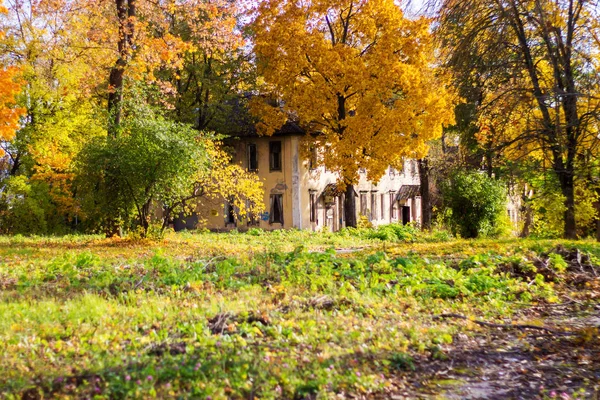 Autumn trees on the background of an old house, Sunny day — Stock Photo, Image