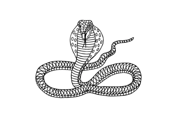Змея Кобра Графические Узоры Векторные Иллюстрации Окраска — стоковый вектор