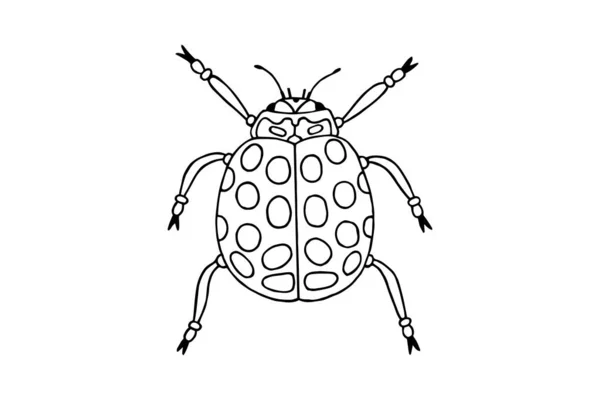 瓢虫图形图案着色书 — 图库矢量图片