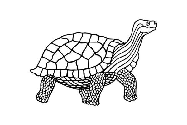 Stor Sköldpadda Målarbok Vektor Illustration Hand Ritning — Stock vektor
