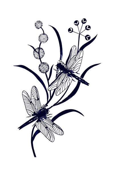 Twee Libellen Plant Vector Illustratie Van Handtekening — Stockvector