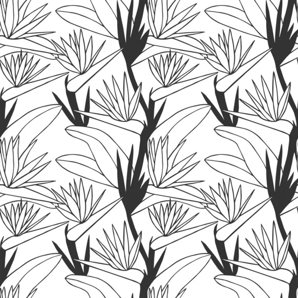 Seamless Pattern Vector Illustration Eps10 Strelitzia Flower Hand Drawing — Stock Vector