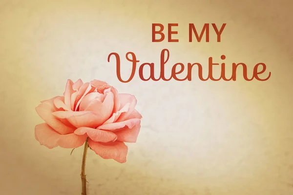 be my valentine - card. Valentines day quote for greeting card.