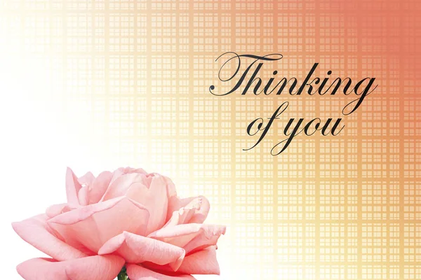 Thinking of you - card. Pink rose.