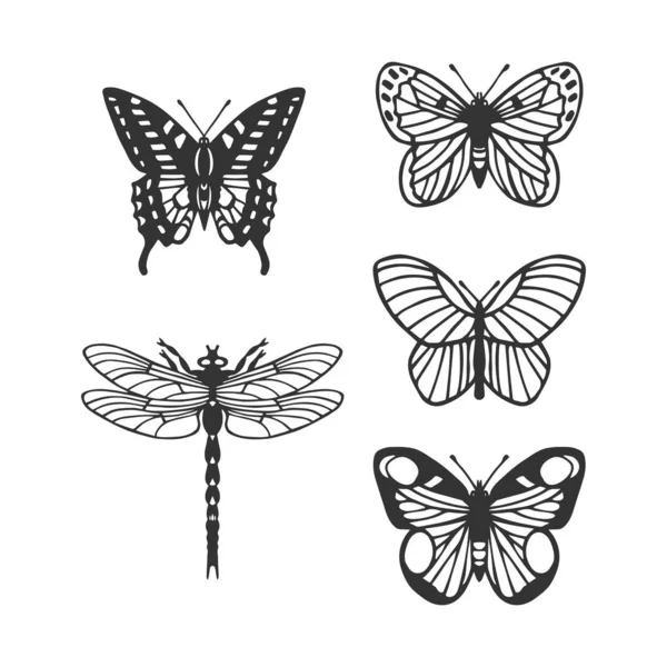 Conjunto Mariposas Libélula Eps10 Ilustración Vectorial Dibujo Mano — Vector de stock