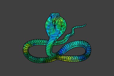 yılan kobra grafik desenleri. eps10 vektör illüstrasyon. el çizimi