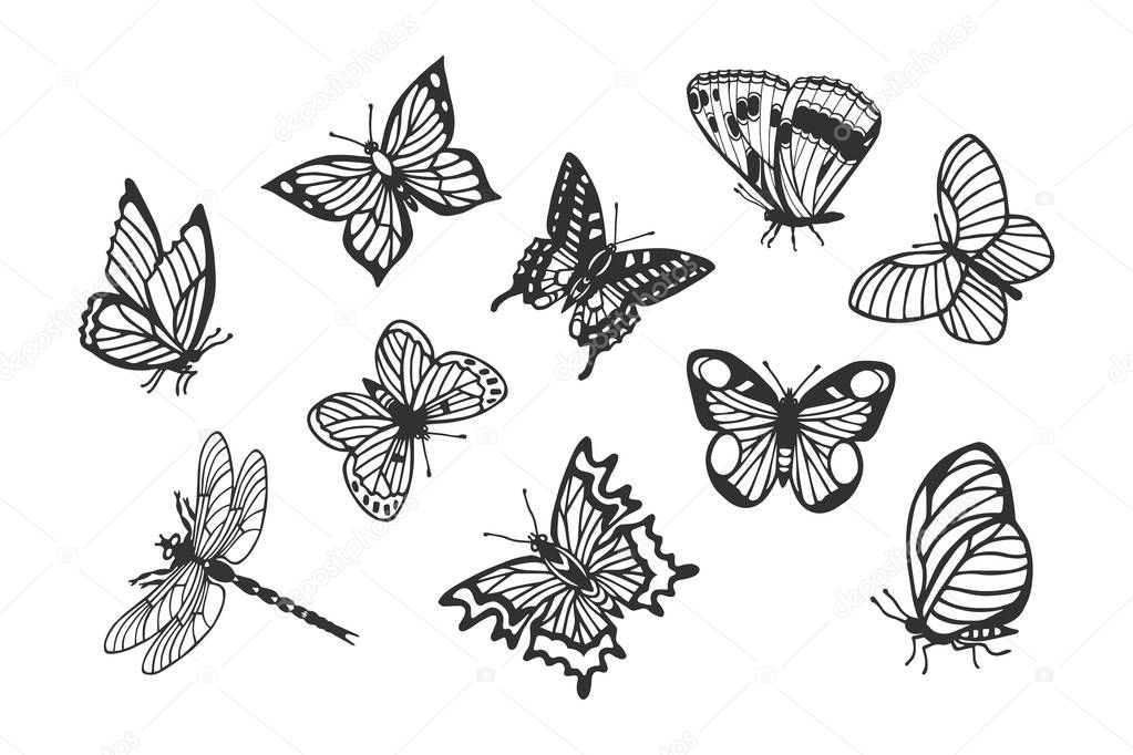 set of butterflies, dragonfly. eps10 vector illustration. hand drawing