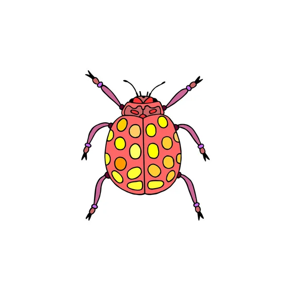 Insecto Decorativo Joaninha Eps10 Ilustração Vetorial Desenho Manual — Vetor de Stock