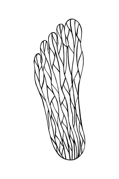 装飾的なパターンの足 Eps 10ベクトルイラスト手描き — ストックベクタ
