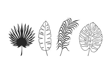 Tropikal yapraklar hazır. Eps10 vektör illüstrasyonu. El çizimi. resim çizgisi