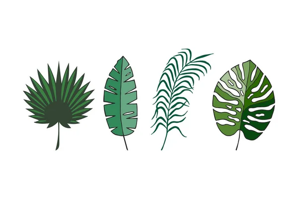 Feuilles Tropicales Ensemble Illustration Vectorielle Eps10 Dessin Main — Image vectorielle