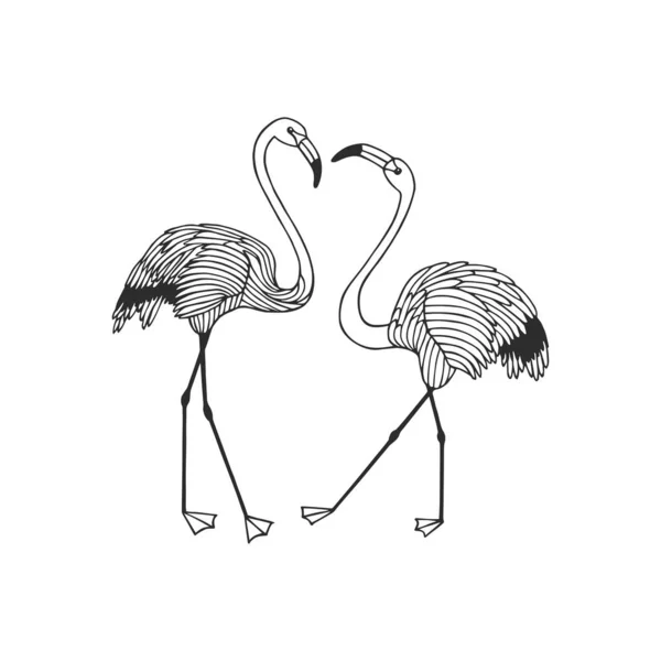 Ilustração Flamingo Frente Ilustração Vetorial Eps10 Desenho Manual Linha Arte — Vetor de Stock