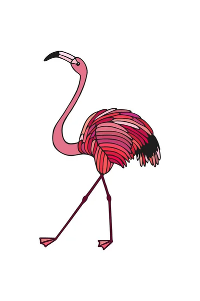 Ilustração Flamingo Frente Ilustração Vetorial Eps10 Desenho Manual Linha Arte — Vetor de Stock