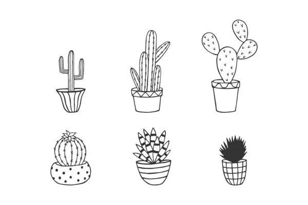 Tenceredeki kaktüs. Eps10 vektör illüstrasyonu. el çizimi