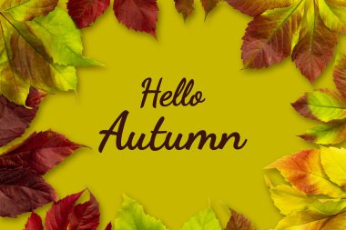 Merhaba, Autumn. Sonbahar yapraklarının çerçevesi, bir yazı için yer