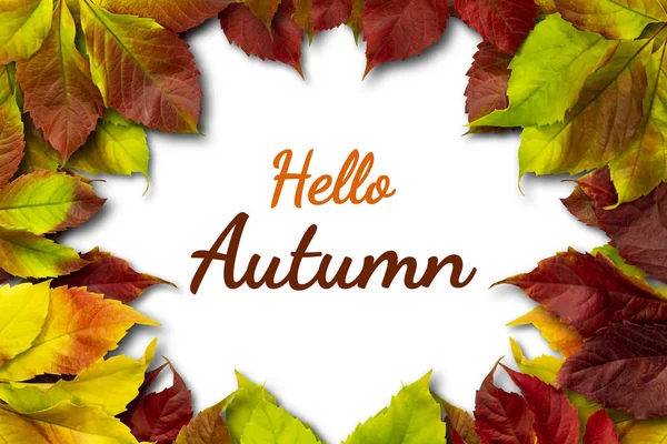 Hello Autumn Frame Autumn Leaves Place Inscription — Stock Photo, Image