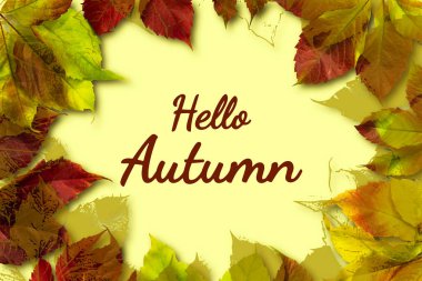 Merhaba, Autumn. Sonbahar yapraklarının çerçevesi, bir yazı için yer