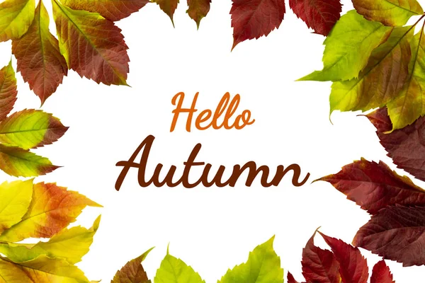 Witaj Autumn Ramka Jesiennych Liści Miejsce Napis — Zdjęcie stockowe
