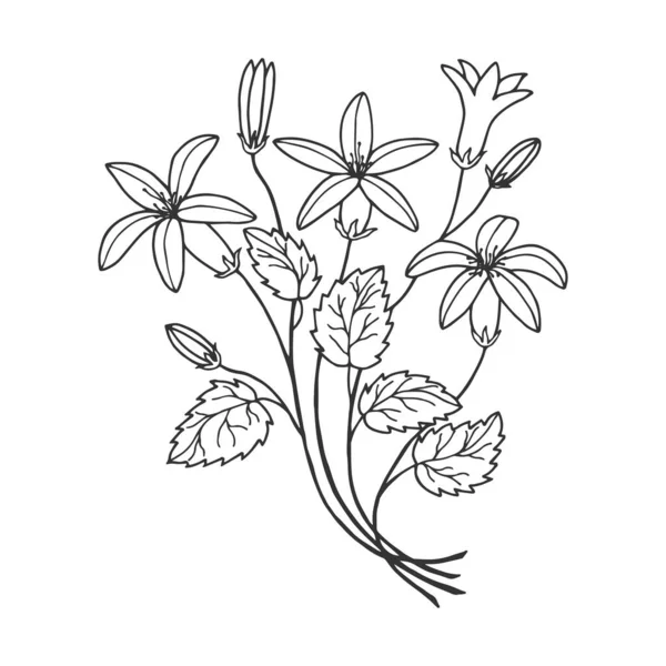 Naadloos Patroon Van Bloemen Klokken Hand Getekend Vector Illustraties — Stockvector