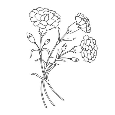 Vektör illüstrasyonu, bitki ve bitki çiçekleri, siyah ve beyaz sanat 