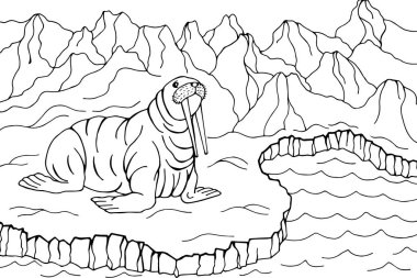 Vektör illüstrasyonu, deniz aygırı hayvanı 