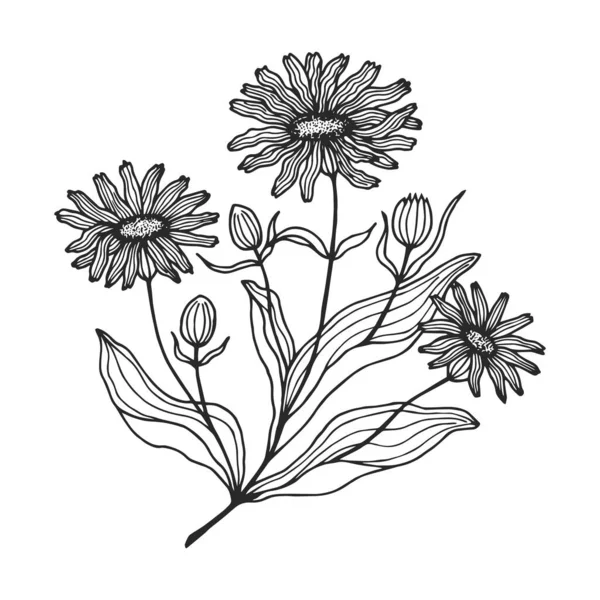 ベクターイラスト植物の花黒と白のアート — ストックベクタ