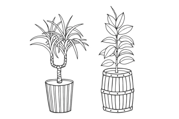 Vector Illustratie Flora Planten Bloemen Potten — Stockvector