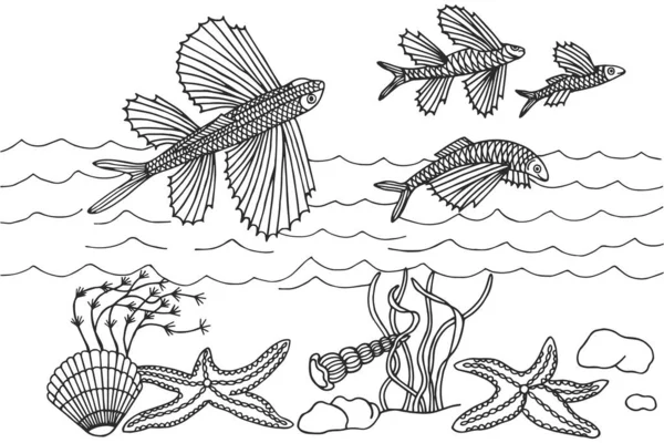 Illustrazione Vettoriale Flora Fauna Marine Pesci Erbacce Marine — Vettoriale Stock