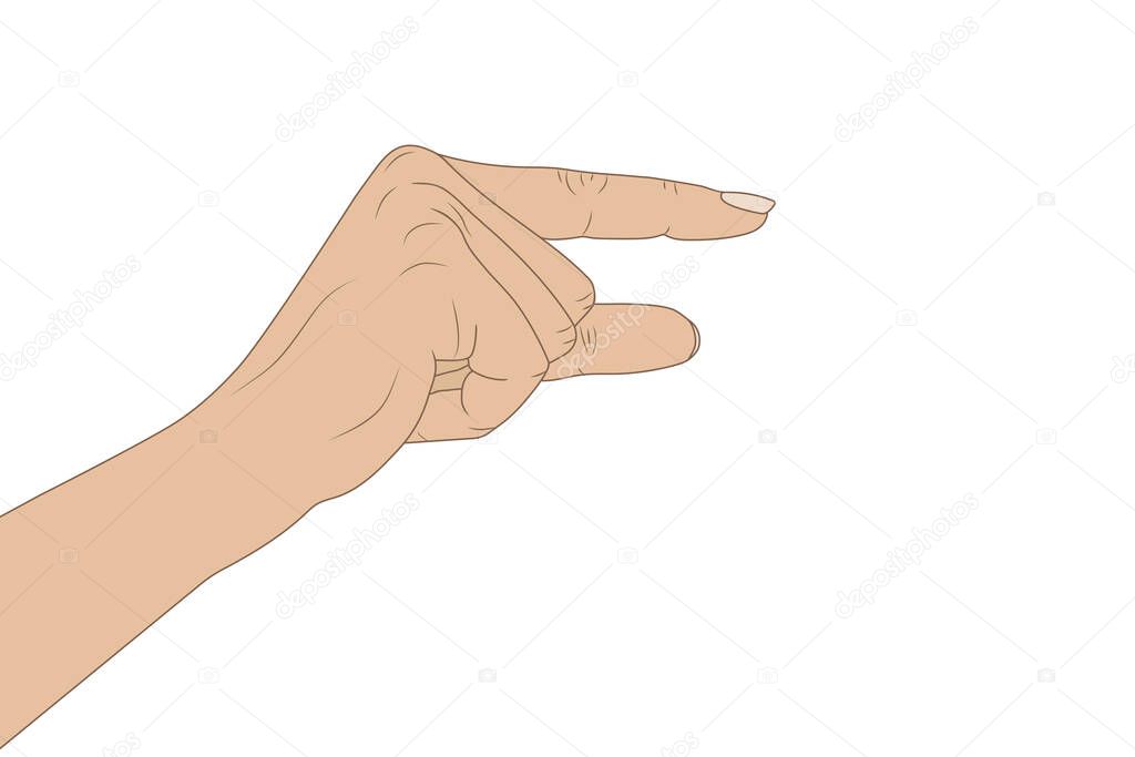 vector illustration, partial view of human hand with fingers 