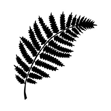 Siyah eğreltiotu yaprağının vektör çizimi 