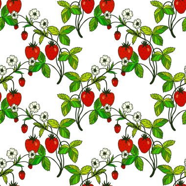 Beyaz arkaplan, vektör, illüstrasyon üzerinde izole edilmiş çilek bitkileriyle pürüzsüz desen çizmek