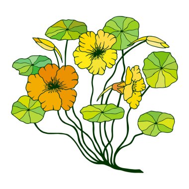 Beyaz arkaplanda izole edilmiş renkli çiçek, vektör, illüstrasyon 