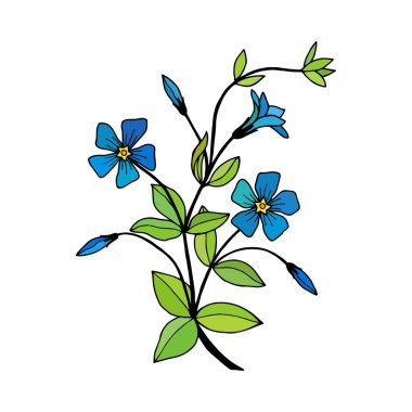 Beyaz arkaplanda izole edilmiş renkli çiçek, vektör, illüstrasyon 