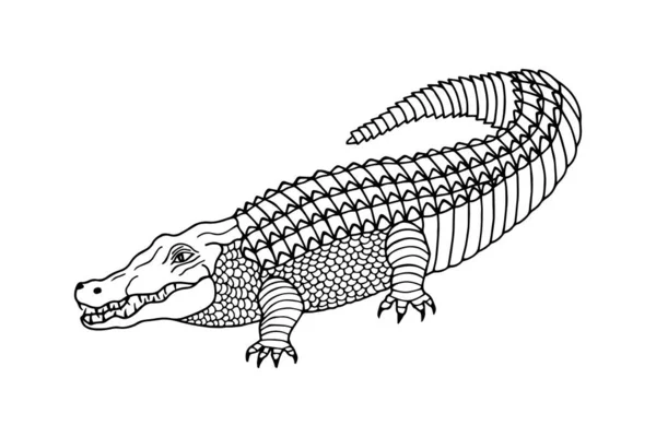 Esboço Crocodilo Isolado Sobre Fundo Branco Vetor Ilustração —  Vetores de Stock
