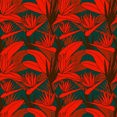 Strelitzia tropikal çiçekleri kusursuz desen. Vektör hisse senedi illüstrasyonu E10.