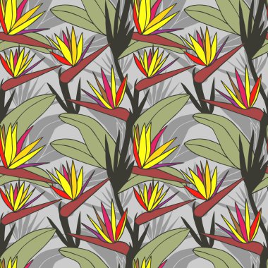 Strelitzia tropikal çiçekleri kusursuz desen. Vektör hisse senedi illüstrasyonu E10.