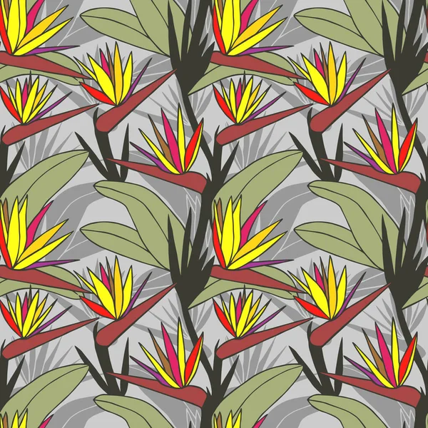 Strelitzia Tropical Flowers Seamless Pattern Vector Stock Illustration Eps10 — Stock Vector