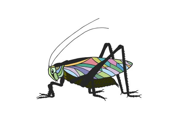 Sprinkhaneninsect Voorraadillustratie Vector Eps10 — Stockvector