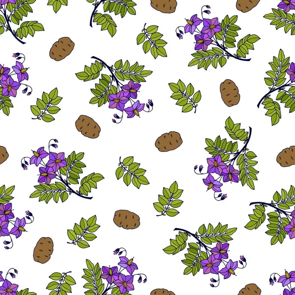 Patates çiçekleri ve dikişsiz sebzeler. Vektör hisse senedi illüstrasyonu E10.