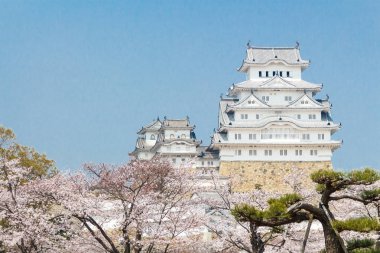 Himeji Kalesi