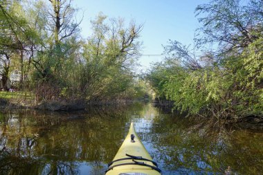                                Belgrad' da Tuna Nehri üzerinde kayak, Sırbistan. 