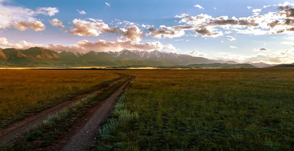 Altai 'deki Kurai bozkırında, karlı zirvelerle dağlara giden yol. Rusya