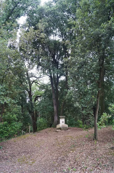 Çeşme Villa Ventaglio Parkta Florence Talya — Stok fotoğraf