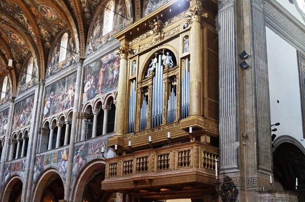 Interior Catedral Parma Italia — Foto de Stock