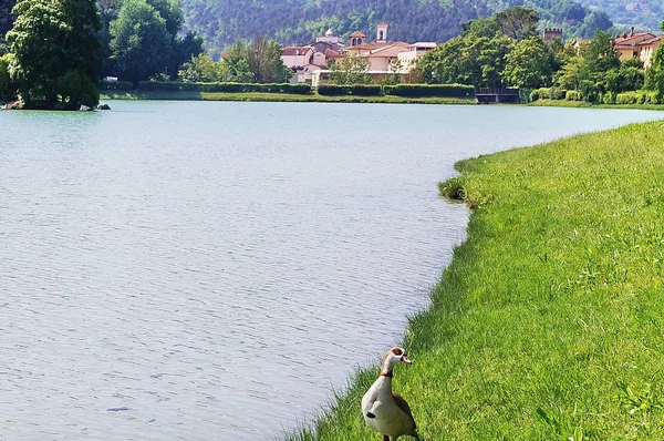 Montelleri Lake Vicchio Toscana Itália — Fotografia de Stock