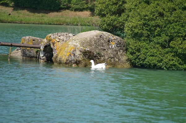 Montelleri Jezero Vicchio Toskánsko Itálie — Stock fotografie