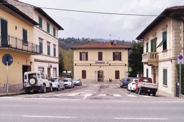 Tükürük otu umbellatum bir çim